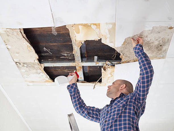 Best Residential Mold Inspection & Testing  in Great Falls, SC